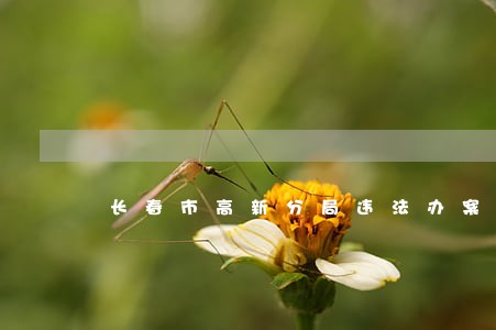 长春市高新分局违法办案 长春市高新分局违法办案