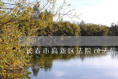 长春市高新区法院司法信息