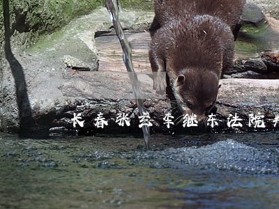 长春张玄李继东法院判了吗