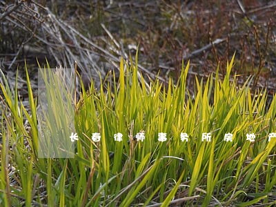 长春律师事务所房地产 长春律师事务所房地产