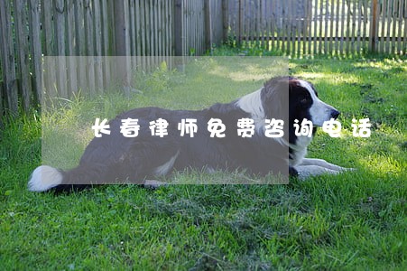 长春律师免费咨询电话 长春律师免费咨询电话