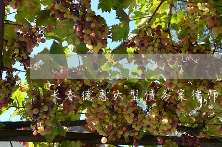 长春德惠大型债务案律师 长春德惠大型债务案律师