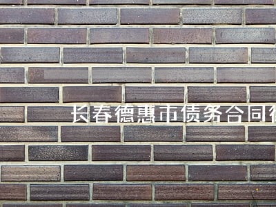 长春德惠市债务合同律师 长春德惠市债务合同律师