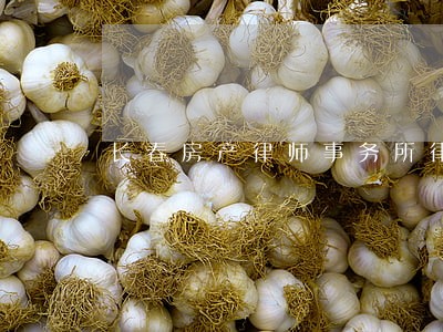 长春房产律师事务所律师 长春房产律师事务所律师