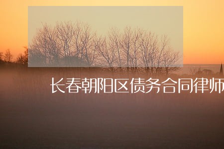 长春朝阳区债务合同律师团队 长春朝阳区债务合同律师团队