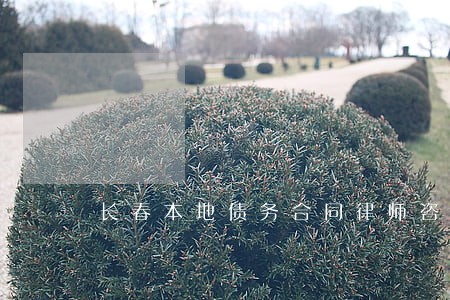 长春本地债务合同律师咨询电话 长春本地债务合同律师咨询电话