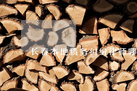 长春本地债务纠纷律师哪个好 长春本地债务纠纷律师哪个好
