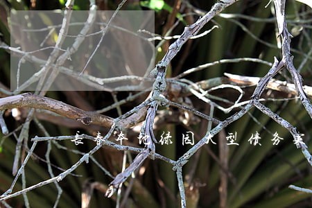 长春本地绿园大型债务案律师 长春本地绿园大型债务案律师