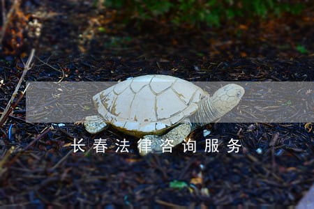 长春法律咨询服务 长春法律咨询服务