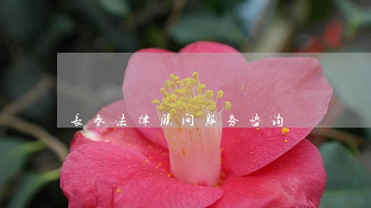 长春法律顾问服务咨询 长春法律顾问服务咨询