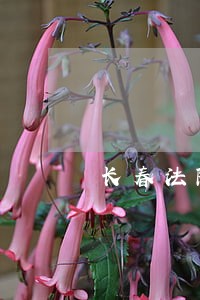 长春法院下午几点上班 长春法院下午几点上班