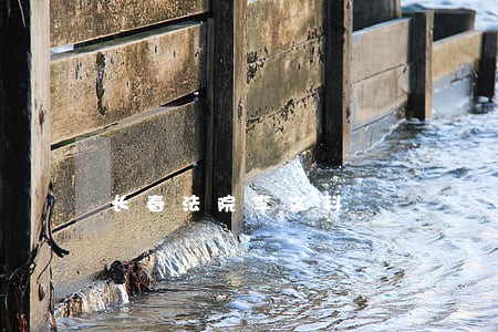 长春法院李文科