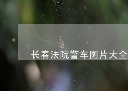 长春法院警车图片大全 长春法院警车图片大全