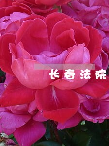 长春法院选调生待遇 长春法院选调生待遇