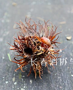 长春消协与法院诉调对接 长春消协与法院诉调对接