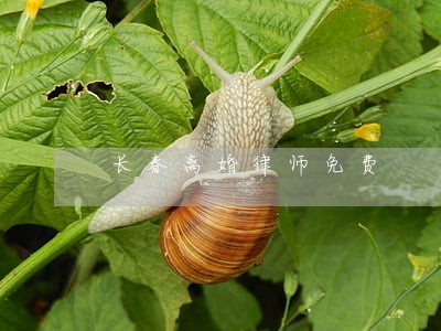 长春离婚律师免费 长春离婚律师免费