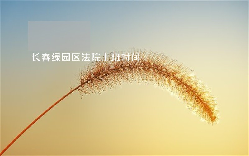 长春绿园区法院上班时间