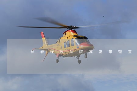 长春绿园法院高嵩审理直播 长春绿园法院高嵩审理直播