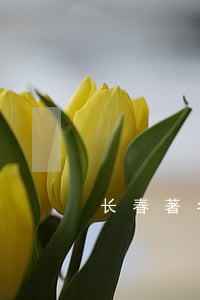 长春著名刑事律师