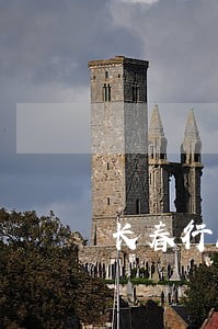 长春行政司法 长春行政司法