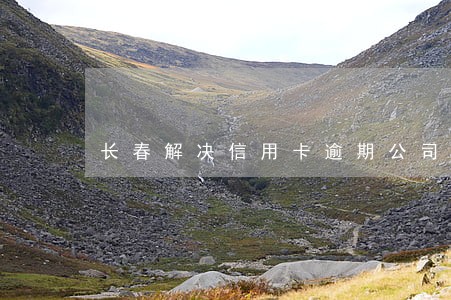 长春解决信用卡逾期公司