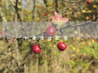 长春违法搭建 长春违法搭建