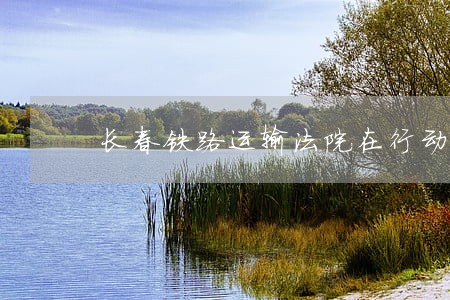 长春铁路运输法院在行动 长春铁路运输法院在行动