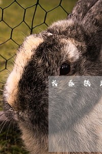 长春铁路运输法院执行局怎么样 长春铁路运输法院执行局怎么样