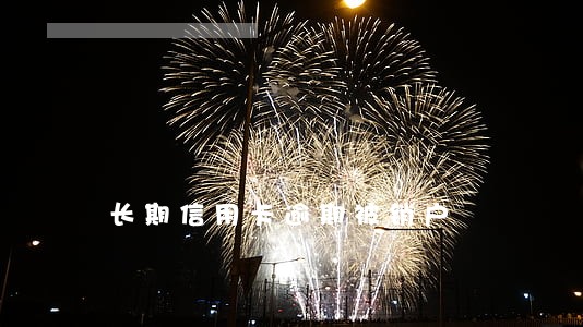 长期信用卡逾期被销户