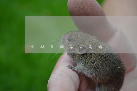 长期失踪怎么离婚 长期失踪怎么离婚