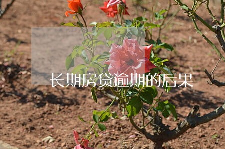 长期房贷逾期的后果 长期房贷逾期的后果