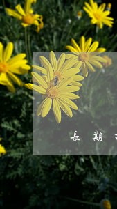 长期打电话逾期 长期打电话逾期