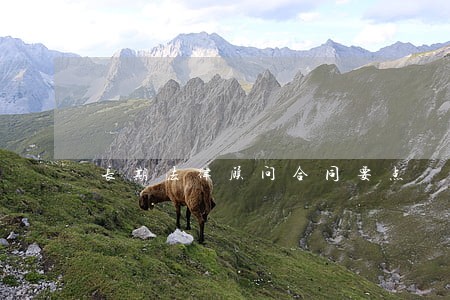 长期法律顾问合同要点 长期法律顾问合同要点
