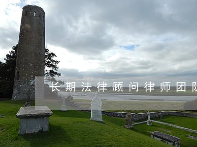 长期法律顾问律师团队 长期法律顾问律师团队