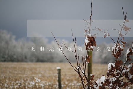 长期法律顾问怎么收费 长期法律顾问怎么收费