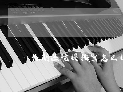 长期法院提档案怎么提