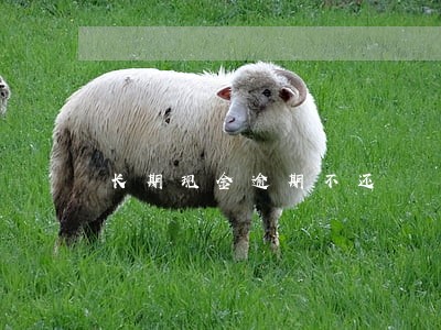 长期现金逾期不还 长期现金逾期不还