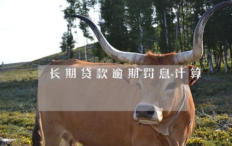 长期贷款逾期罚息计算 长期贷款逾期罚息计算
