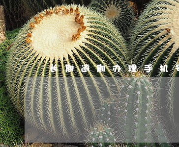 长期逾期办理手机号 长期逾期办理手机号