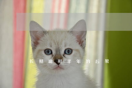 长期逾期半年的后果 长期逾期半年的后果