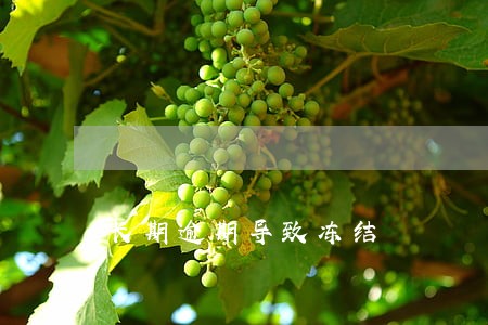 长期逾期导致冻结 长期逾期导致冻结