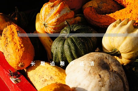 长期逾期户还清 长期逾期户还清