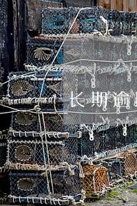 长期逾期是失信人吗 长期逾期是失信人吗