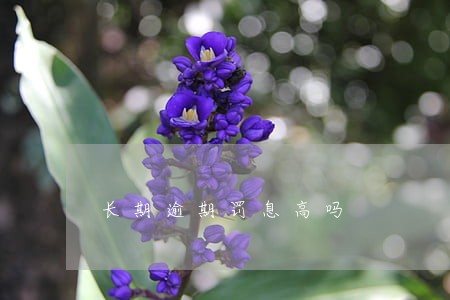 长期逾期罚息高吗 长期逾期罚息高吗