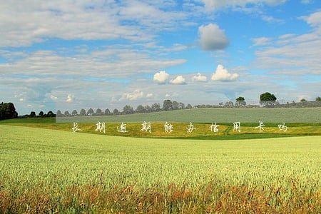 长期逾期能办信用卡吗 长期逾期能办信用卡吗