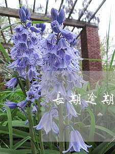 长期逾期还款后还能办信用卡吗 长期逾期还款后还能办信用卡吗