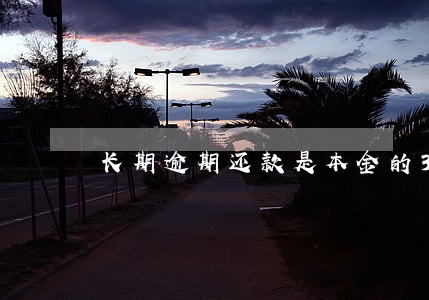 长期逾期还款是本金的3倍