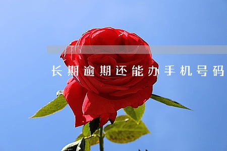 长期逾期还能办手机号码 长期逾期还能办手机号码