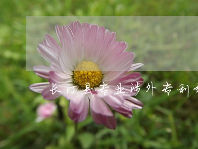 长汀县专业涉外专利纠纷律师 长汀县专业涉外专利纠纷律师
