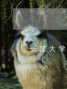 长江大学助学贷款逾期 长江大学助学贷款逾期